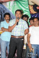 Cut Chesthe Movie Audio Launch